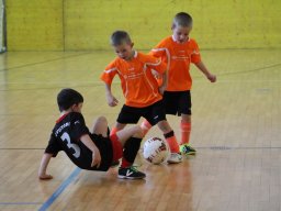 mini-IMG_6910